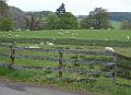 Dag 5, Fort William-Stirling (74)